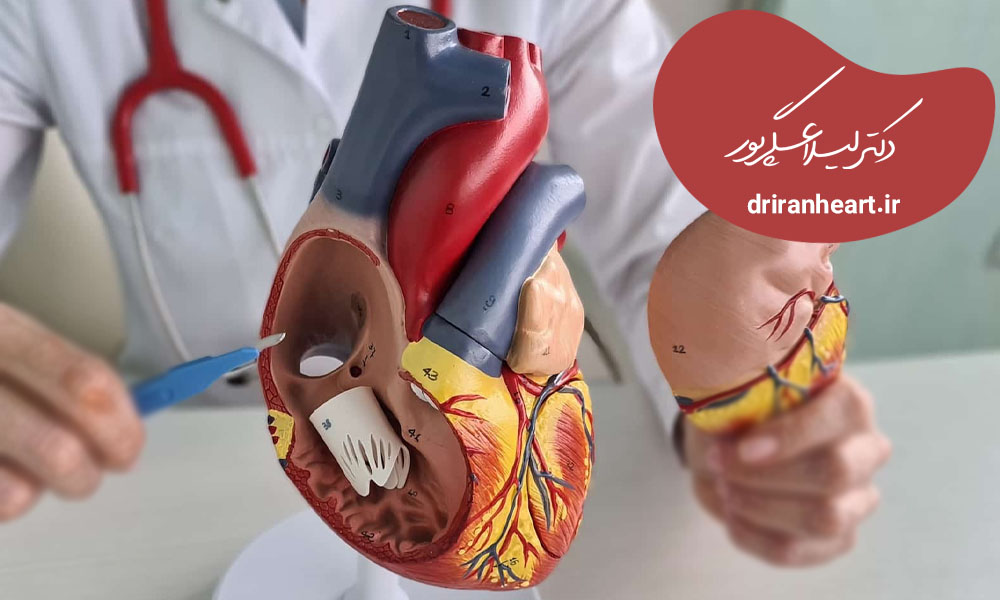 دریچه میترال قلب چیست